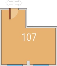 Cristiana Brasov - Birou 107