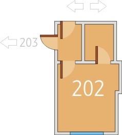 Cristiana Brasov - Birou 202