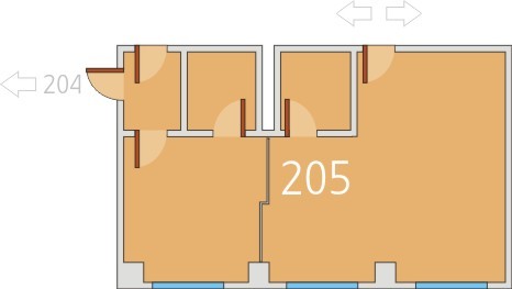 Cristiana Brasov - Birou 205