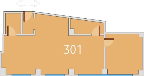 Cristiana Brasov - Birou 301
