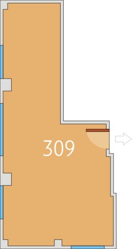 Cristiana Brasov - Birou 309